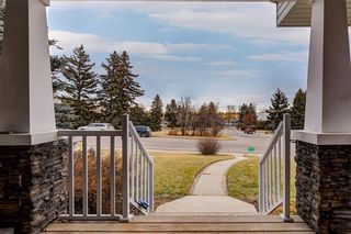Photo 38: 21 HENDON Place NW in Calgary: Highwood Detached for sale : MLS®# C4276090