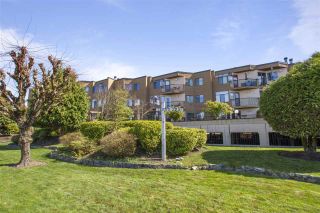 Photo 1: 31 11900 228 Street in Maple Ridge: East Central Condo for sale in "MOONLIGHT GROVE" : MLS®# R2562684