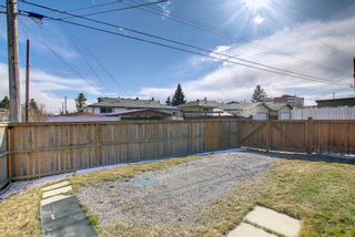 Photo 42: 11 Maryvale Place NE in Calgary: Marlborough Detached for sale : MLS®# A1207159