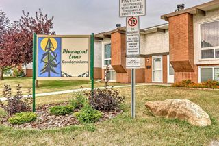 Photo 1: 304 Pinemont Gate NE in Calgary: Pineridge Semi Detached (Half Duplex) for sale : MLS®# A2074875