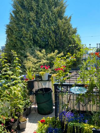 Photo 4: 3638 DUNDAS Street in Vancouver: Hastings Sunrise House for sale (Vancouver East)  : MLS®# R2712616