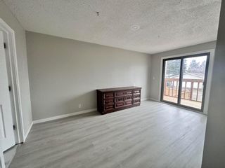 Photo 20: 918 40 Street SE in Calgary: Forest Lawn Semi Detached (Half Duplex) for sale : MLS®# A2132383