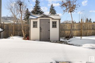 Photo 44: 10503 61 Avenue in Edmonton: Zone 15 House for sale : MLS®# E4331615