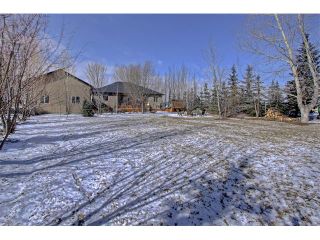 Photo 32: 36 Silvertip Gate: Rural Foothills M.D. House for sale : MLS®# C4102875