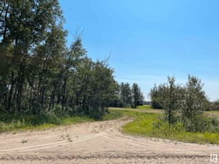 Photo 3: 26009 Twp Rd 612: Rural Westlock County Vacant Lot/Land for sale : MLS®# E4353045