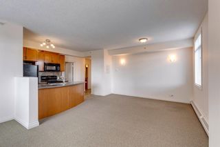 Photo 10: 433 910 Centre Avenue NE in Calgary: Bridgeland/Riverside Apartment for sale : MLS®# A1075371