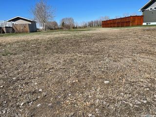 Photo 2: 133 Cameron Crescent in Watson: Lot/Land for sale : MLS®# SK879084