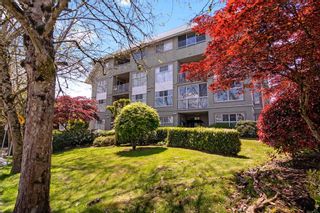 Photo 25: 406 11609 227 Street in Maple Ridge: East Central Condo for sale : MLS®# R2692105