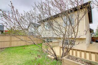 Photo 41: 211 Cranberry Way SE in Calgary: Cranston Detached for sale : MLS®# A1217518