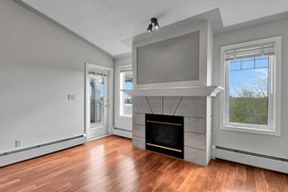 Photo 13: 507 2419 Erlton Road SW in Calgary: Erlton Apartment for sale : MLS®# A2132513