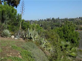 Photo 10: MOUNT HELIX Residential for sale or rent : 4 bedrooms : 4410 Alta Mira in La Mesa
