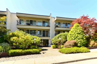 Photo 1: 201 1351 MARTIN Street: White Rock Condo for sale in "The Dogwood" (South Surrey White Rock)  : MLS®# R2101279