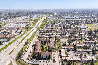 Photo 21: 933 11620 Elbow Drive SW in Calgary: Canyon Meadows Apartment for sale : MLS®# A2131177
