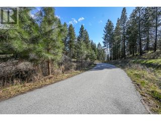 Photo 28: 222 Grizzly Place in Osoyoos: Vacant Land for sale : MLS®# 10310334