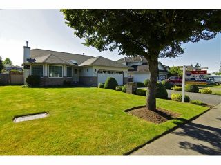 Photo 2: 4553 217A Street in Langley: Murrayville House for sale : MLS®# F1316260