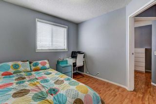 Photo 29: 40 Martin Crossing Court NE in Calgary: Martindale Row/Townhouse for sale : MLS®# A2129183
