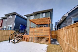 Photo 48: 456 Bayview Way SW: Airdrie Detached for sale : MLS®# A1177678