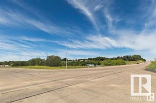 Photo 4: 54418 RGE RD 251: Rural Sturgeon County Vacant Lot/Land for sale : MLS®# E4392671