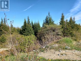 Photo 1: 0 Trails End Drive in Paradise: Vacant Land for sale : MLS®# 1262055