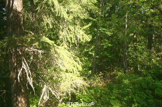 Photo 10: 4827 Goodwin Road in Eagle Bay: Vacant Land for sale : MLS®# 10116745