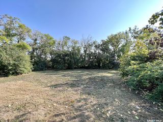 Photo 8: Lots 22-23 1st Avenue North in Maymont: Lot/Land for sale : MLS®# SK908580