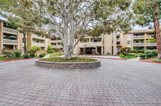 Photo 4: PACIFIC BEACH Condo for rent : 1 bedrooms : 1885 Diamond St. #116 in San Diego