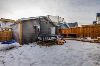 Photo 26: 329 South Point Green SW: Airdrie Detached for sale : MLS®# A2019163