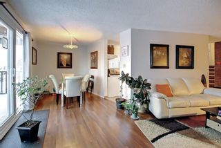 Photo 14: 733 Tavender Road NW in Calgary: Thorncliffe Semi Detached for sale : MLS®# A1183861