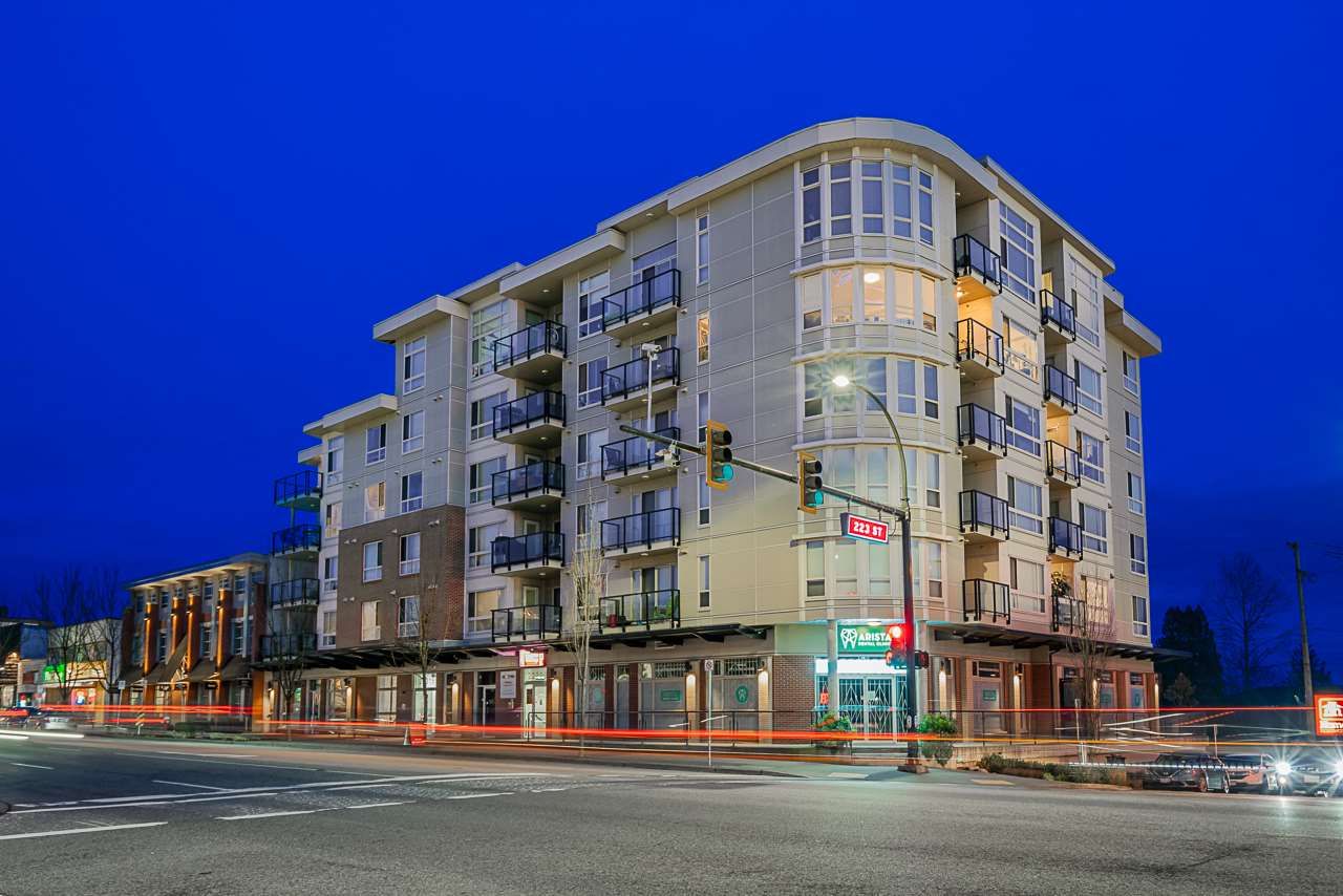 Main Photo: 206 22318 LOUGHEED HIGHWAY in : West Central Condo for sale : MLS®# R2527636