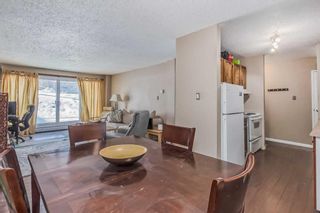 Photo 34: 513 8948 Elbow Drive SW in Calgary: Haysboro Apartment for sale : MLS®# A2106950