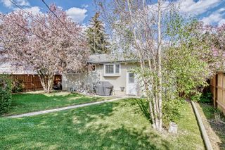 Photo 6: 1027 34 Street SE in Calgary: Albert Park/Radisson Heights Detached for sale : MLS®# A2050547