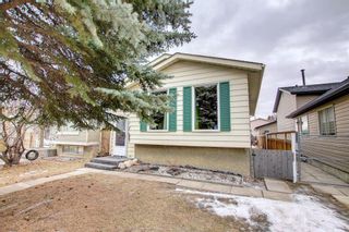 Photo 1: 16 Erin Ridge Road SE in Calgary: Erin Woods Detached for sale : MLS®# A1174623