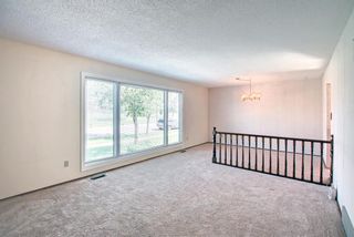 Photo 3: 6207 Temple Drive NE in Calgary: Temple Detached for sale : MLS®# A1234362
