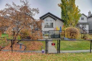 Photo 50: 216 Cranfield Park SE in Calgary: Cranston Detached for sale : MLS®# A2086927
