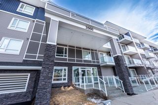 Photo 4: 2401 76 Cornerstone Passage NE in Calgary: Cornerstone Apartment for sale : MLS®# A2028276