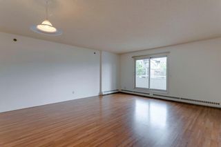 Photo 16: 210 1733 27 Avenue SW in Calgary: South Calgary Apartment for sale : MLS®# A1231918