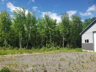 Photo 14: 4997 Brooklyn Street in Grafton: Kings County Farm for sale (Annapolis Valley)  : MLS®# 202212500