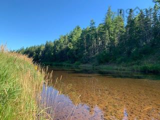 Photo 1: 3770 321 Highway in Oxford Junction: 102S-South of Hwy 104, Parrsboro Vacant Land for sale (Northern Region)  : MLS®# 202220658