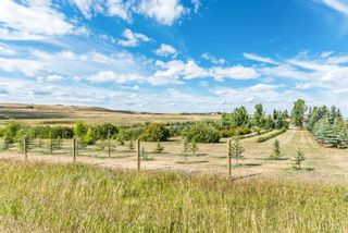 Photo 43: 32158 402 Avenue W: Rural Foothills County Detached for sale : MLS®# A1029256