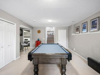 Photo 20: 255 Copperfield Manor SE in Calgary: Copperfield Detached for sale : MLS®# A2053429