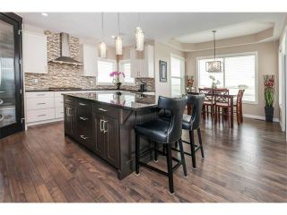 Photo 5: 264 RAINBOW FALLS Way: Chestermere House for sale : MLS®# C4117286