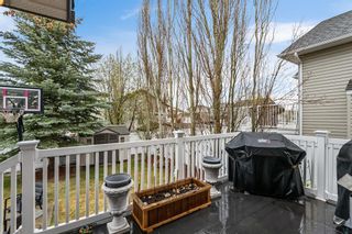 Photo 32: 128 Thornleigh Close SE: Airdrie Detached for sale : MLS®# A2047725
