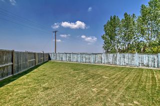 Photo 33: 204 Hawkmere Way: Chestermere Detached for sale : MLS®# A2053906