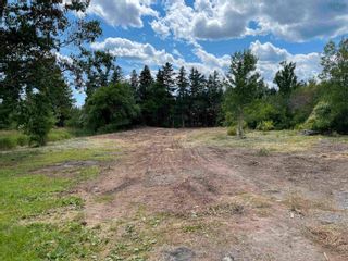 Photo 14: 87 Scotch Hill Road in Lyons Brook: 108-Rural Pictou County Residential for sale (Northern Region)  : MLS®# 202216579