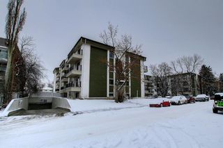 Photo 29: 401 723 57 Avenue SW in Calgary: Windsor Park Apartment for sale : MLS®# A1180051