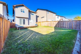 Photo 4: 42 skyview shores Crescent NE in Calgary: Skyview Ranch Detached for sale : MLS®# A2006294