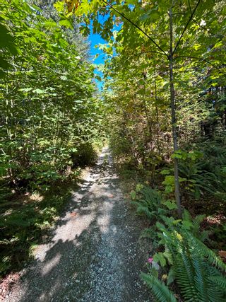 Photo 19: 2020 MISTY'S Lane in Squamish: Paradise Valley Land for sale : MLS®# R2819241