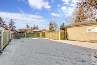 Photo 17: 1523 47 Street SE in Calgary: Forest Lawn Detached for sale : MLS®# A2020953