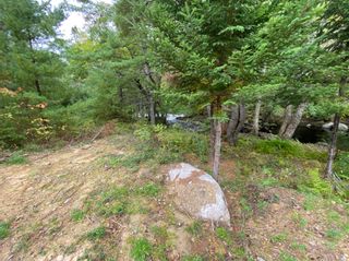 Photo 9: 927 Highway 203 in Lower Ohio: 407-Shelburne County Vacant Land for sale (South Shore)  : MLS®# 202319922
