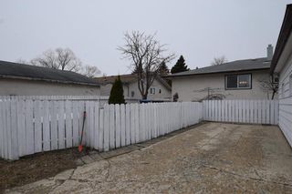 Photo 33: 33 Kenville Crescent in Winnipeg: Maples Residential for sale (4H)  : MLS®# 202308922